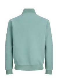 Felpa verde chiaro con collo alto, polsini e orlo a costine. Tessuto liscio, colore uniforme, senza motivi o decorazioni evidenti.