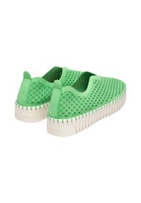 Zapatos verdes tipo slip-on con un upper texturizado que presenta perforaciones, una suela blanca estriada y acentos redondeados en la parte trasera.