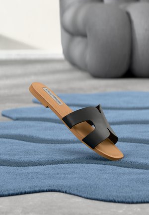 ZARNIA - Sandalias planas - black