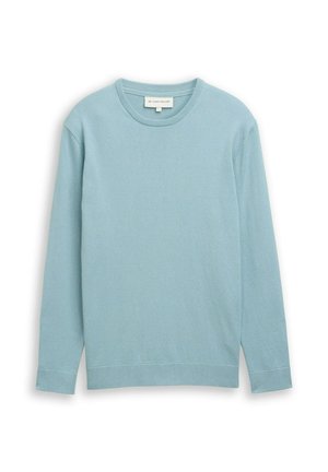 Gaiši zils džemperis ar garām piedurknēm, izgatavots no mīkstas auduma. Tai ir apaļš izgriezums un ribots aproces. Vienkāršs dizains bez papildu rakstiem.