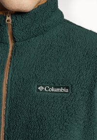 Columbia RUGGED RIDGE™ III FULL ZIP - Veste polaire - spruce/delta