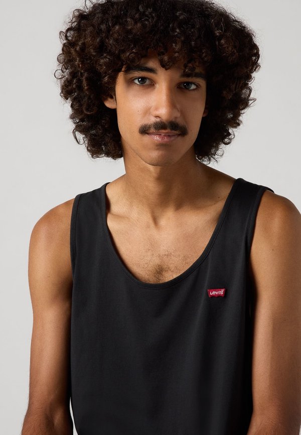 HOUSEMARK TANK - Top - meteorite4