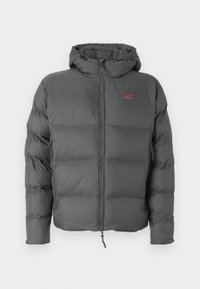 MOUNTAIN POLAR LOGO FREE STYLE - Winter jacket - asphalt
