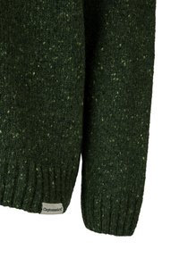 Cleptomanicx SPACER - Jumper - laurel wreath