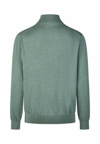 Minzgrüner Pullover mit hohem Kragen, langen Ärmeln, gerippten Bündchen und Saum sowie einem strukturierten Strickmuster auf der Rückseite.