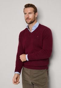 Pull en laine bordeau avec un col en V, des poignets et un ourlet côtelés, superposé sur une chemise à col bleu clair, porté avec un pantalon vert olive.