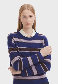 Blue and purple striped knit sweater with brown accents, crew neck, and long sleeves, showcased on a model against a plain background.