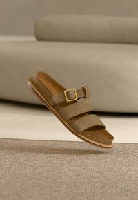 Επιλέχθηκε, taupe