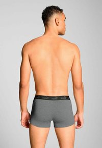 Gray boxer briefs with a black Puma logo band, showcasing a close-fitting design and a smooth fabric texture. Viewed from the back.