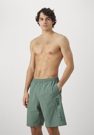 Pantalones cortos verdes hechos de una tela ligera, con una cinturilla elástica y bolsillos laterales. Gran logo impreso en el lado izquierdo.