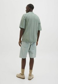 Grønstribet kortærmet sweater, lyseblå denimshorts, beige fodtøj og beige sokker. Simpelt design med en afslappet pasform.
