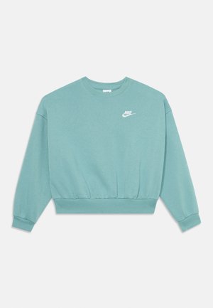 Abgeschnittenes mintgrünes Sweatshirt aus weichem Baumwollmaterial, mit langen Ärmeln und einem gerippten Saum. Zeigt ein weißes Nike-Logo auf der Brust.