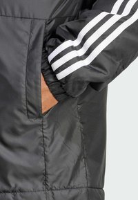 adidas Sportswear ESSENTIALS 3-STRIPES INSULATED HOODED - Zimná bunda - black