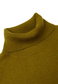 Olivově zelený pletený rolák s žebrovanou strukturou a límcem, s hladkým tělem a bez viditelných vzorů či akcent�ů.