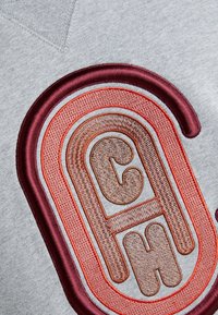 Sudadera gris con un gran bordado circular en burdeos, naranja y marrón, que destaca texturas en capas y letras distintivas.