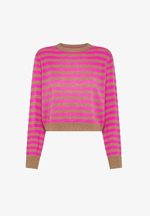 Maglione cropped a righe rosa e beige con maniche lunghe, realizzato in tessuto leggero. Presenta un colletto e un orlo a coste.