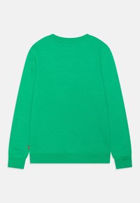 Felpa verde con scollo rotondo, maniche lunghe e polsini a costine. Realizzata in un tessuto morbido di colore uniforme, presenta un piccolo logo del marchio sull'orlo.