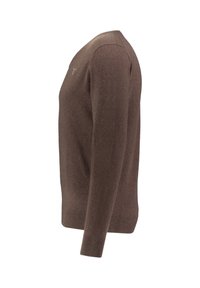Brauner langärmliger Pullover mit Rundhalsausschnitt, gerippten Bündchen und Saum, von der linken Seite auf einem weißen Hintergrund gezeigt.