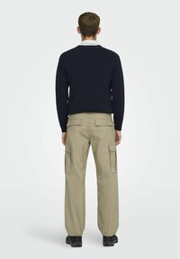Only & Sons ONSRAY LIFE NOOS - Cargobyxor - chinchilla