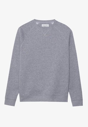 Gray sweatshirt with long raglan sleeves, crew neckline, and ribbed cuffs. Made from soft fabric with a subtle texture. No visible patterns.