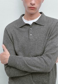 Maglione polo grigio a maglia con maniche lunghe, caratterizzato da un colletto classico e una chiusura a due bottoni. Il tessuto sembra morbido con una fine trama.