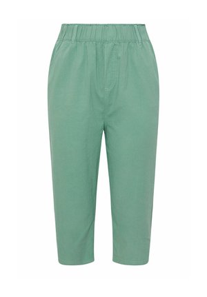 Pantalones cortos verdes con cintura elástica y bolsillos laterales, con un ajuste relajado y piernas rectas.