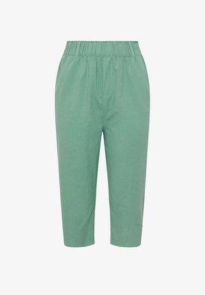Pantaloni verdi corti con fascia elastica in vita e tasche laterali, caratterizzati da una vestibilità comoda e gambe dritte.