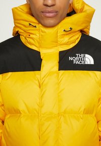 Geltona pūkinė striukė su juodu viršutiniu skyriumi, turinti aukštą apykaklę, priekinius užtrauktukus ir "The North Face" logotipą ant krūtinės. Lygi tekstūra.