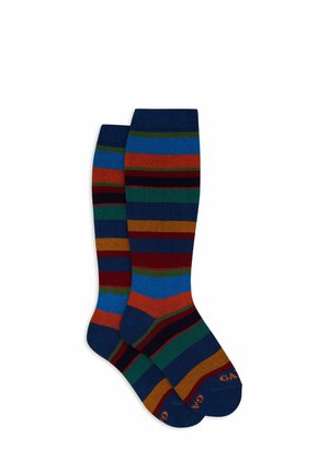 LONG WITH STRIPE - Calze parigine - abisso prato