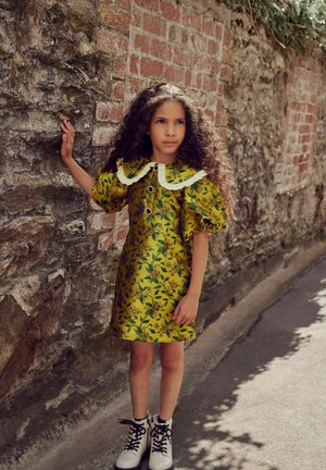 BROCADE COLLAR STANDARD - Vestido informal - green