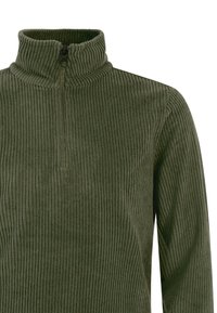 Korte rits pullover in donkergroen ribfleecemateriaal, met een hoge kraag en zachte textuur. Voorzien van een rits aan de voorkant voor sluiting en gemak.