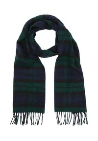 Foulard rigato in verde scuro e blu navy, realizzato in tessuto morbido. Presenta estremità frangiate e una forma rettangolare classica.