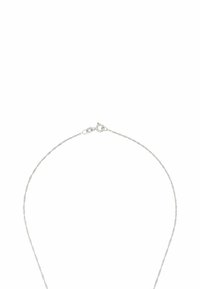 Collana a catena in argento placcato con un delicato design intrecciato, dotata di un gancio a molla e una superficie liscia e lucente.