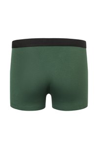 Groene boxershorts met een zwarte elastische tailleband. De stof heeft een gladde textuur en is strakker, met een eenvoudig ontwerp zonder patronen.