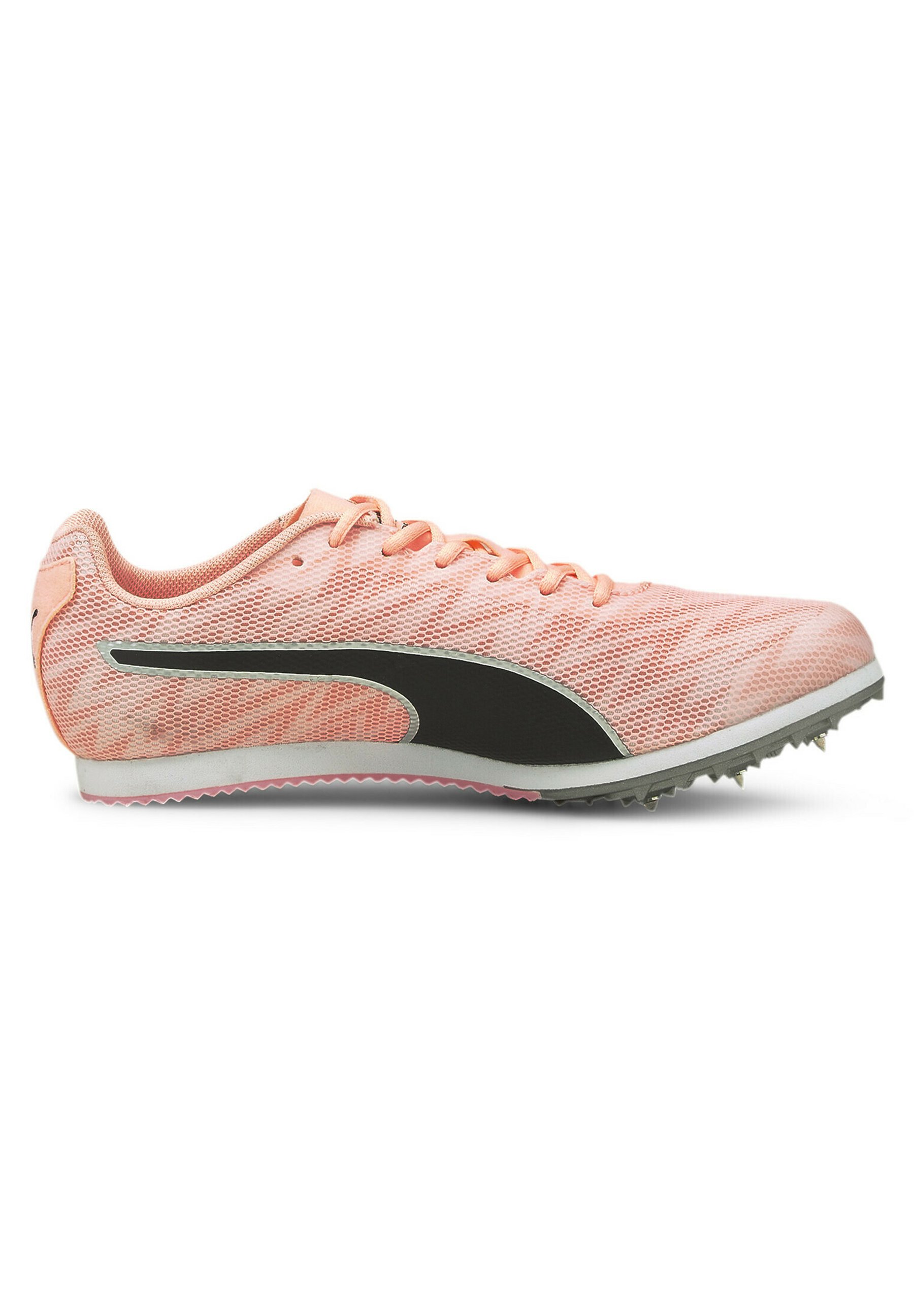 puma evospeed star