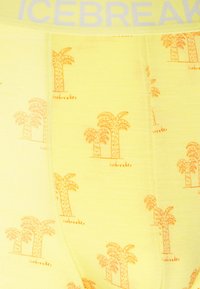 icebreaker ANATOMICA - Nadrág - LIGHT YELLOW