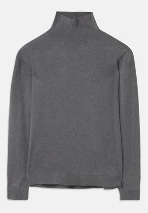 Pull en col roulé gris en tissu doux, avec des manches longues, un col et un ourlet côtelés, d'une coupe décontractée. Texture lisse et design épuré.