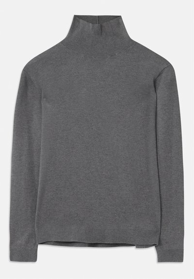 Pull en col roulé gris en tissu doux, avec des manches longues, un col et un ourlet côtelés, d'une coupe décontractée. Texture lisse et design épuré.