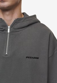 Pegador LOGO OVERSIZED HALF ZIP HOODIE - Kapucni - washed anthracite