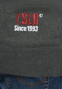 Grijze sweatshirt met geborduurde tekst "! SLD" in het rood en "Sinds 1993" in het wit. Geribbelde onderrand en manchetten zichtbaar.