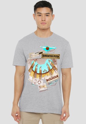 Cotton Soul, HARRY POTTER HARRY POTTER QUIDDITCH PITCH AT HOGWARTS - Print T-shirt - mottled light grey