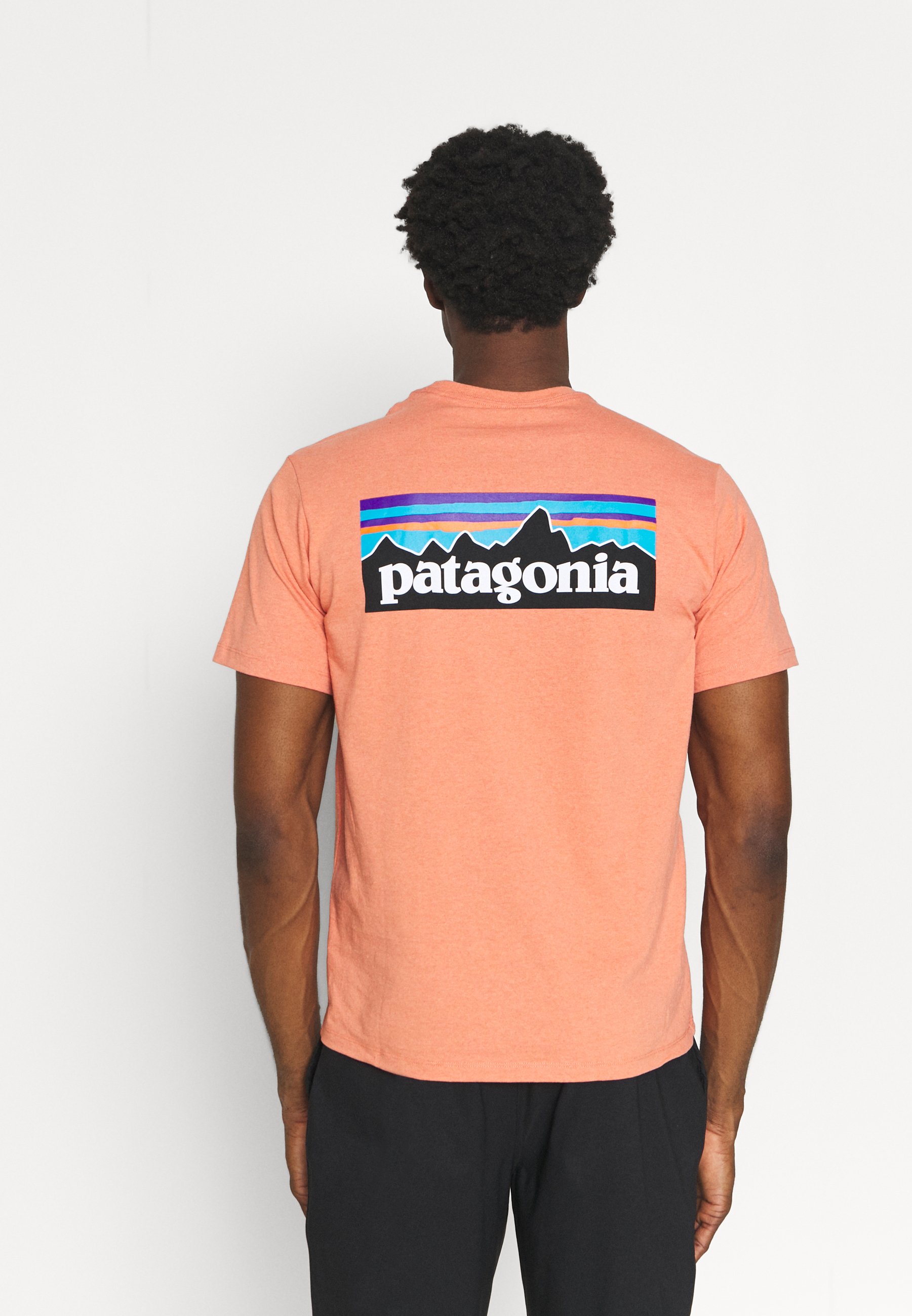 Patagonia LOGO RESPONSIBILI TEE - Print 