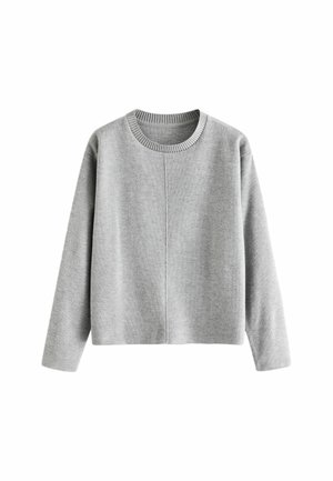 COSY SOFT TOUCH CREW NECK REGULAR FIT - Maglione - grey