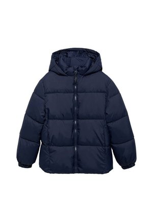 HOOD QUILTED  - Vinterjacka - royal blue