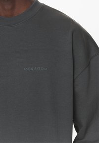 Pegador LOGO OVERSIZED SWEATER - Sportinis megztinis - washed volcano grey