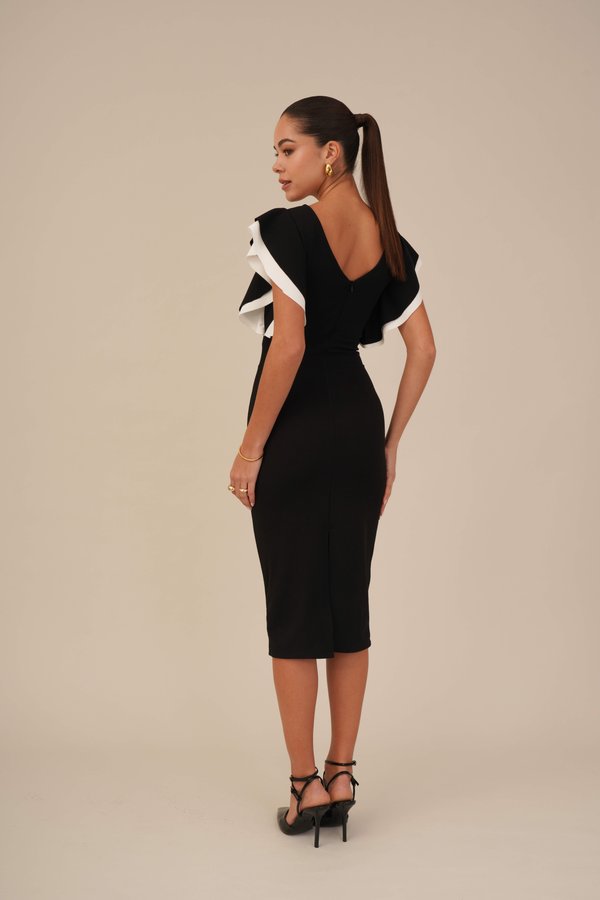 KELLY - Shift dress2