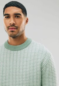 Hellgrüner, gestrickter Pullover mit strukturiertem Muster und geripptem Kragen. Verfügt über einen Rundhalsausschnitt und hat ein weiches, gemütliches Aussehen.