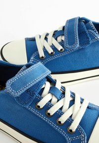 Blå kanvas sneakers med hvide snørebånd og en velcro-rem. Har en gummisål og kontrastsyninger rundt om overdelen.
