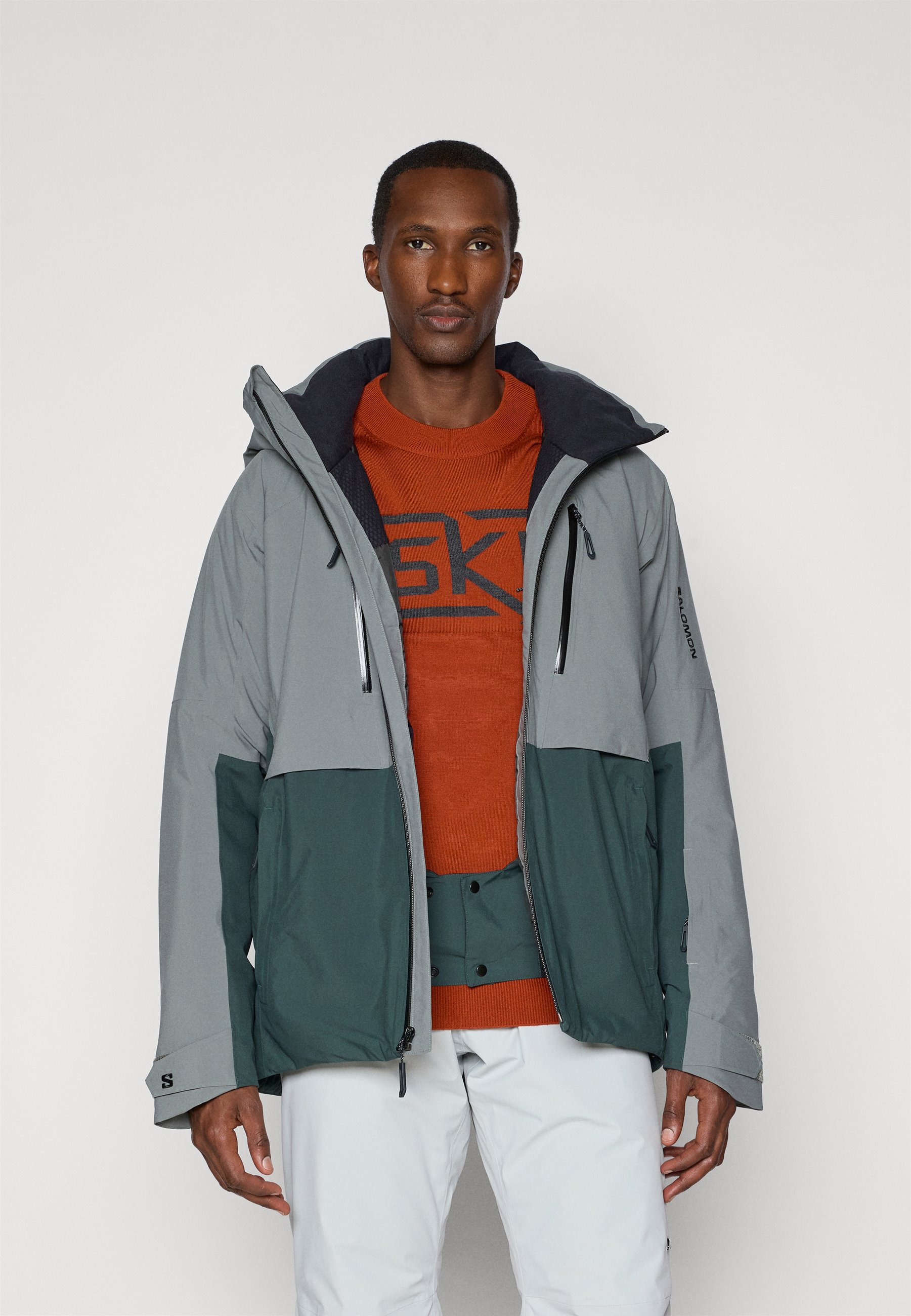 Salomon BRILLIANT 2.0 JACKET - Ski jacket - sedona sage/green
