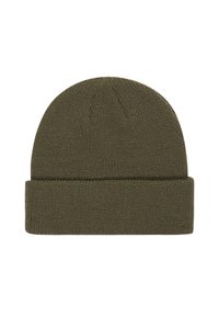 Green knitted beanie hat with a folded cuff, featuring a textured fabric and a seamless top. No additional embellishments or patterns.